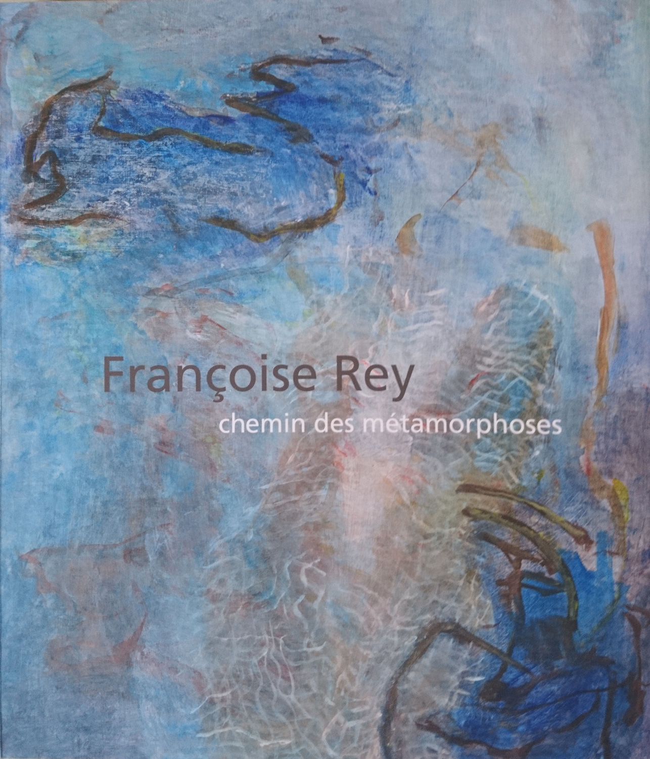 Couverture livre Chemin des métamorphoses